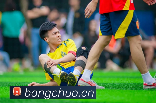 压球首页平台生态图